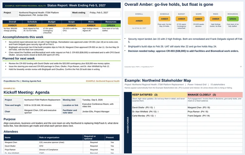 Screenshots from templates in the Executive Reporting Kit